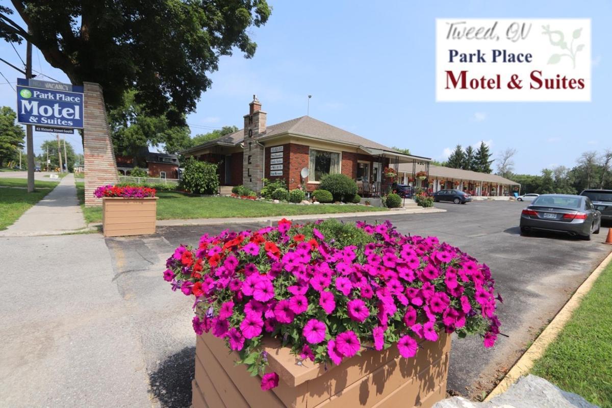 Park Place Motel&Suites Tweed Exterior foto